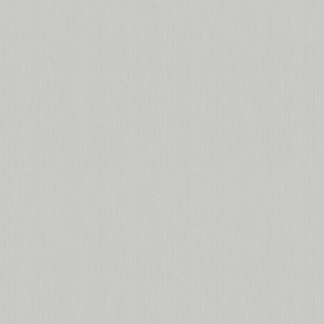 Обои виниловые на флизелиновой основе горячего тиснения Victoria Stenova Ideal 2, Серый, Фон, 1,06×10 м, 588241