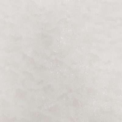 5815-3 Перья фон (5801-3) обои винил. на флиз. основе г.т. 1,06*10 (Китай) 6