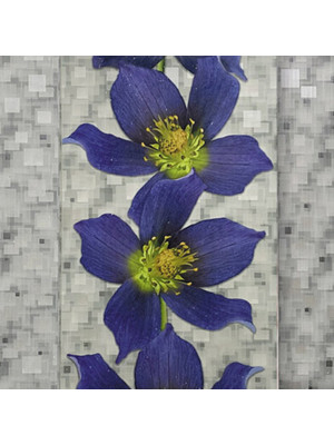Экран для ванны 1,7м Оптима Decor клематис большой 1680х496х29