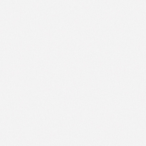 8978-00 Хербал (8979-10) обои вин. на флиз. основе 1,06*10 (WallSecret Comfort) 6