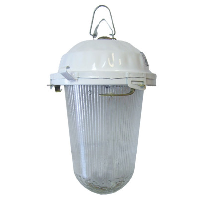 Светильник НСП 02-200-021.01 У2 без решетки, стекло крюк TDM Светильник НСП 02-200-021.01 У2 без решетки, стекло крюк TDM