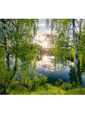 У озера Фотообои 12л 294х260см