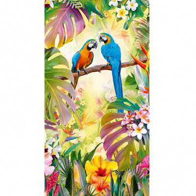 Яркие джунгли Фотообои 6л 134х261см