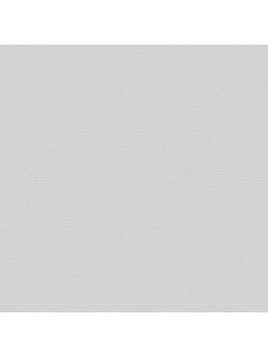 Феникс Фон 0480-21 обои вин. на бум.осн. 0,53*10 11СБ2 (BelVinil) 12