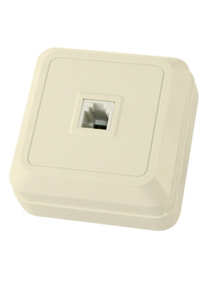 Розетка ТФ (RJ-11) оу IP20 сл.кость Ладога TDM Розетка ТФ (RJ-11) оу IP20 сл.кость Ладога TDM