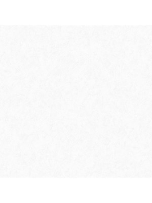 Обои флизелиновые виниловые Кабаре 8663-00 1,06*10