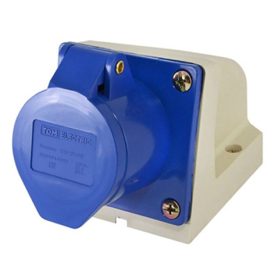 Розетка силовая стационарная 113  63А 220В 2Р+РЕ IP54 TDM (заказ) /