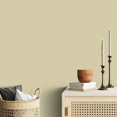 Сильвия фон 02 обои дуплекс 0,53*10 С6 гр.2 (Саратов) 12