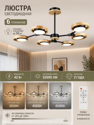 Светодиодная люстра Baizheng N4541-6, 42 Вт, 6 плафонов, цвет черный Светодиодная люстра Baizheng N4541-6, 42 Вт, 6 плафонов, цвет черный