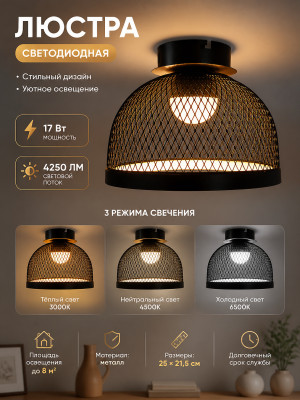Люстра светодиодная 25×21,5 см 17Вт 4250LM 8м² 3 цвета черный золото Baizheng